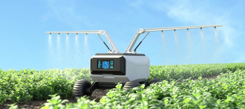 Computer vision in agriculture