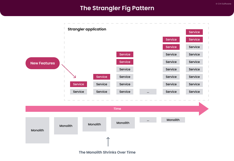 migration patterns