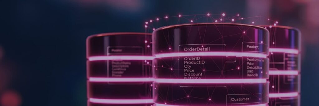 databricks partner