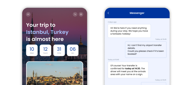 Global Travel Platform Development